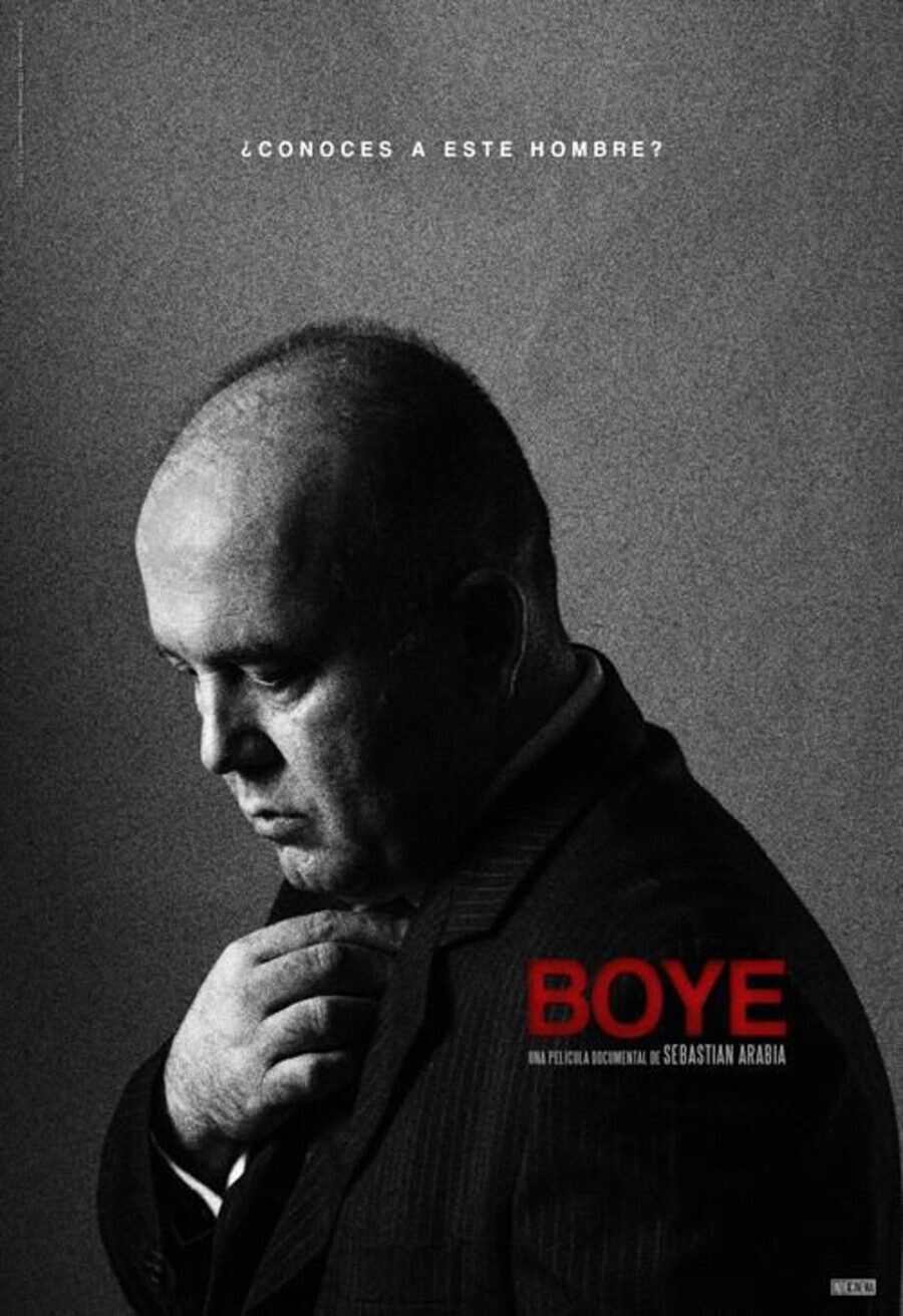 Cartel de Boye - España #2