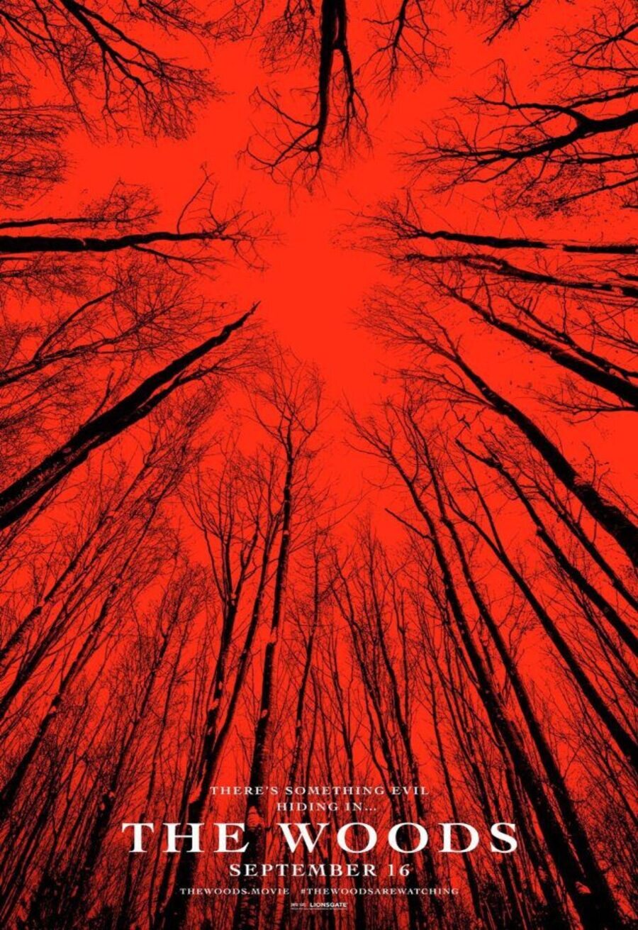 Cartel de Blair Witch - Original 'The Woods' #2