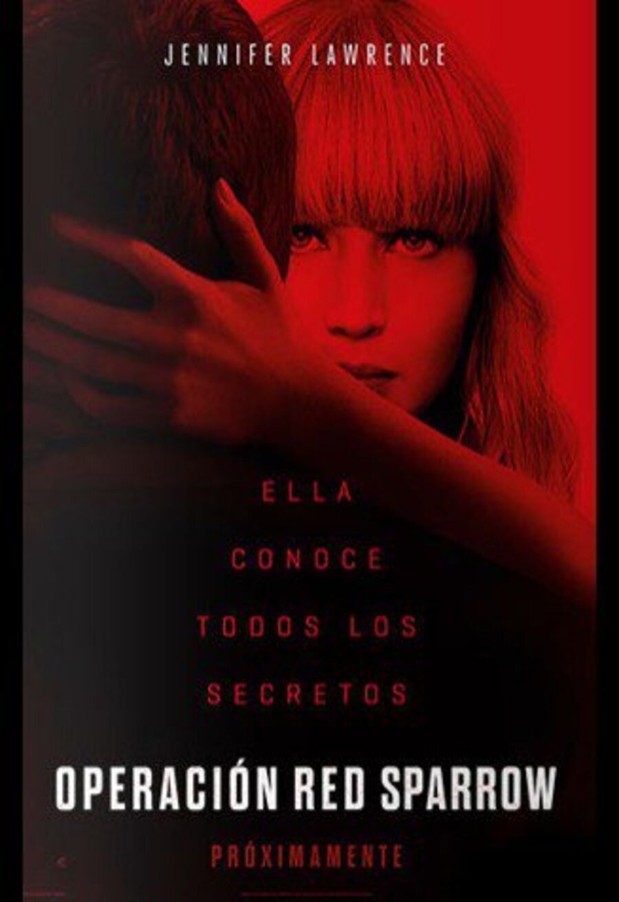 Cartel de Gorrión rojo - Póster latino