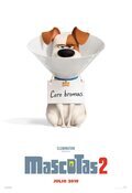 Mascotas 2