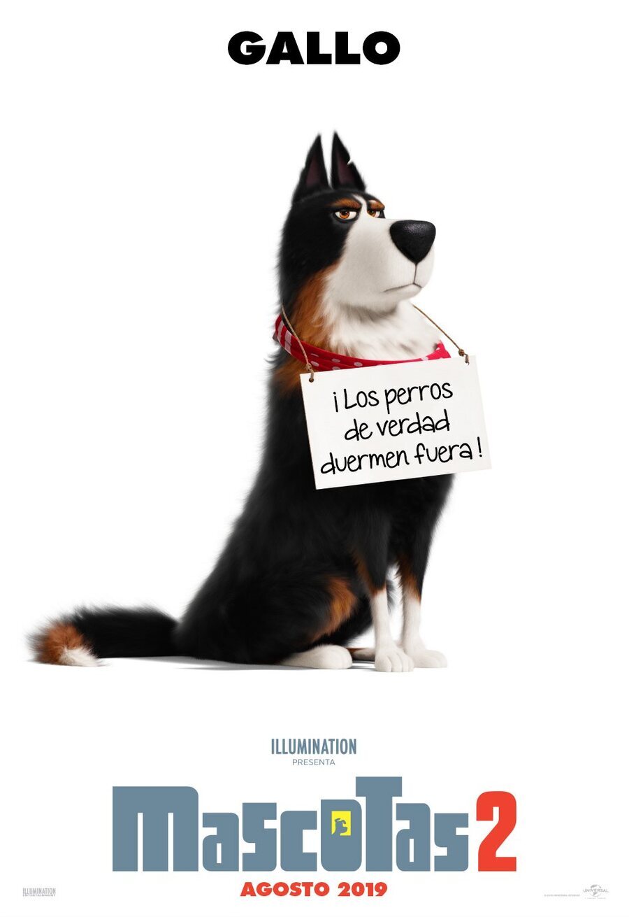 Cartel de Mascotas 2 - Gallo (España)