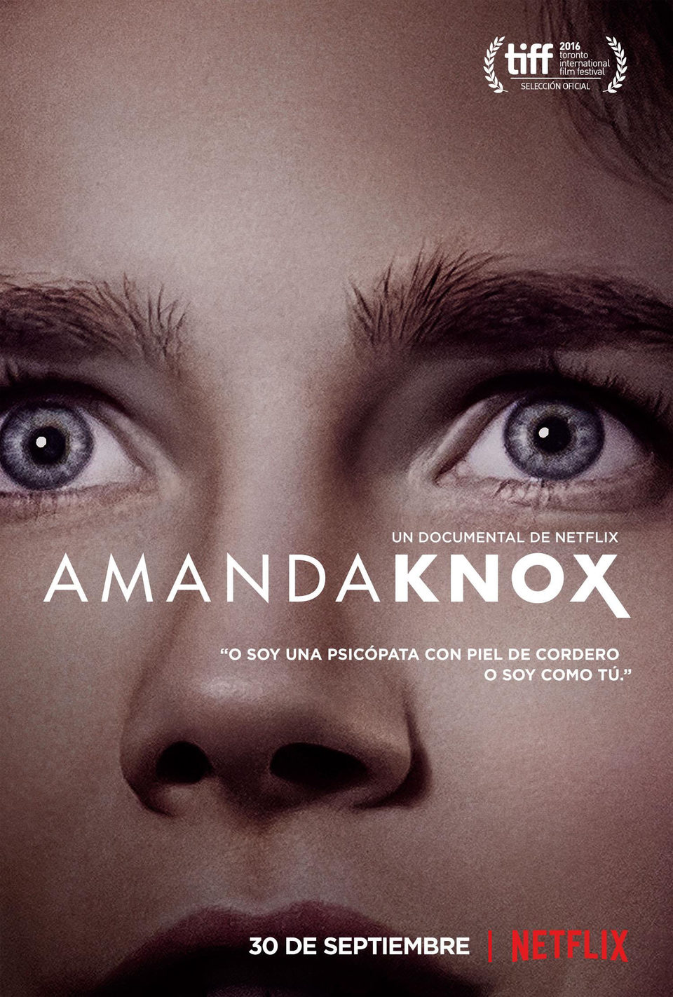 Cartel de Amanda Knox - EE.UU