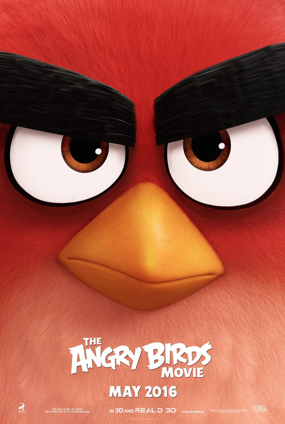 Cartel de Angry Birds. La película - Internacional
