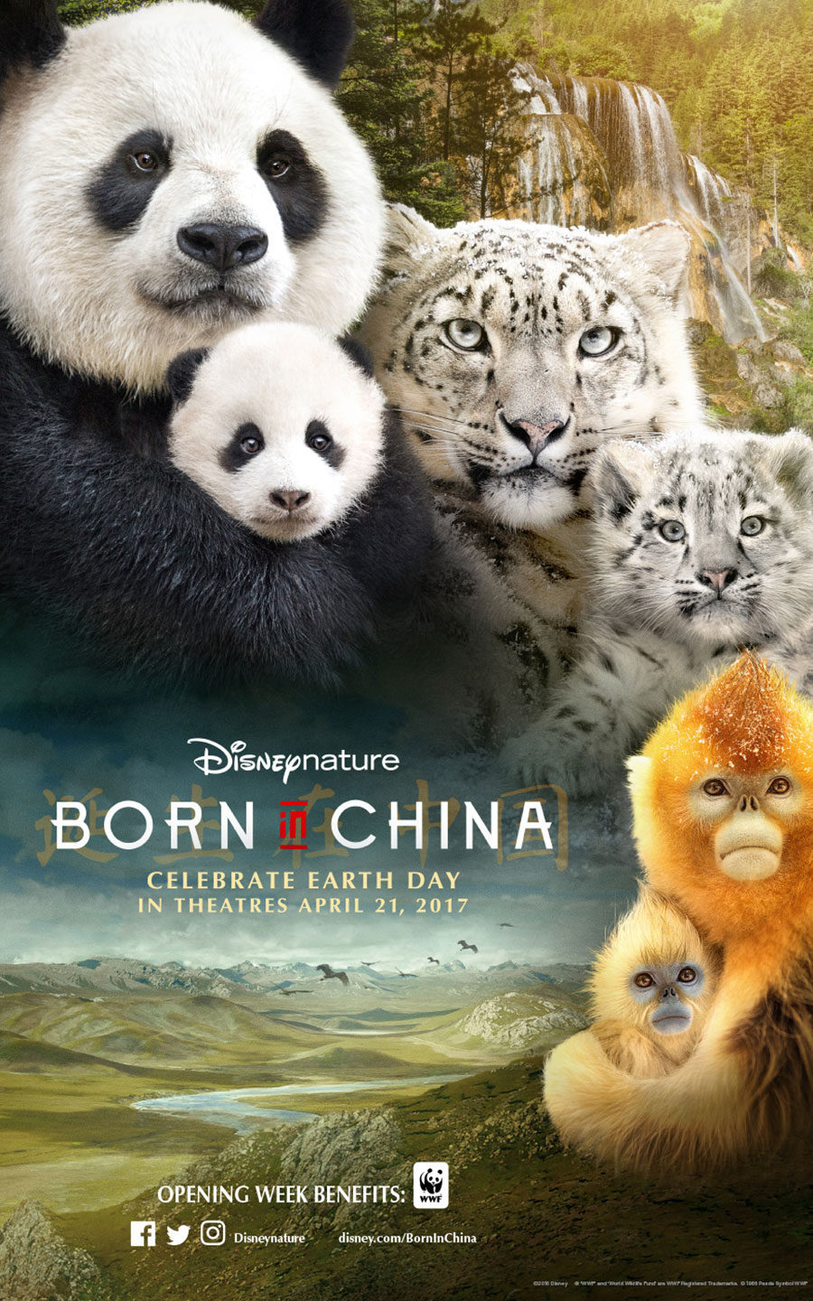 Cartel de Born in China - 