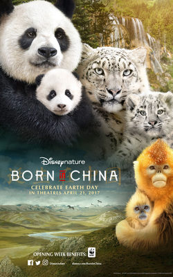 Cartel de Born in China