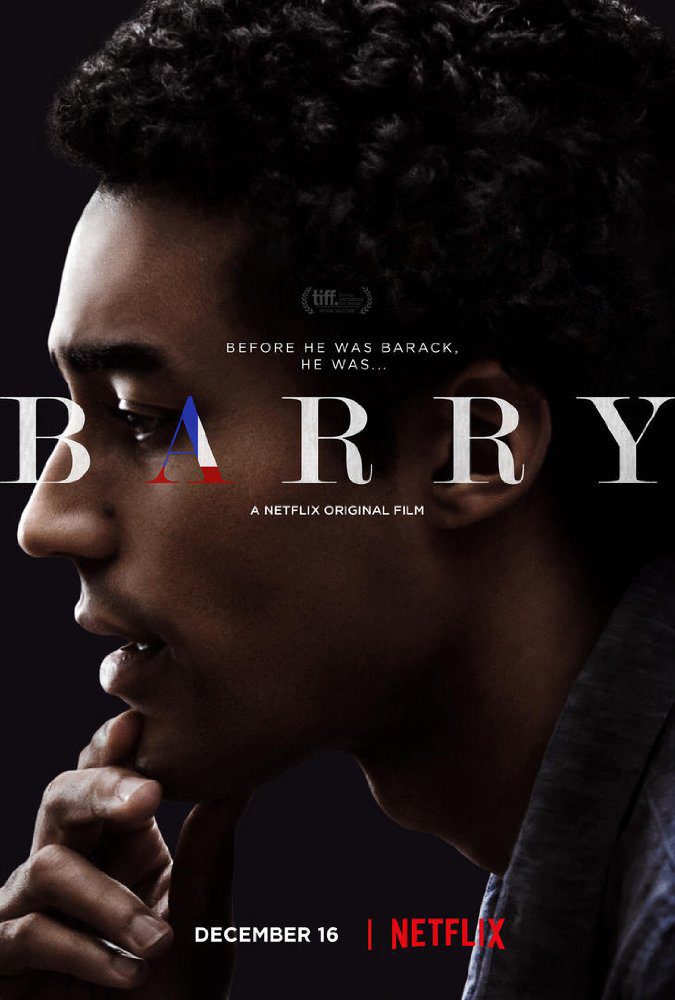 Cartel de Barry - Netflix