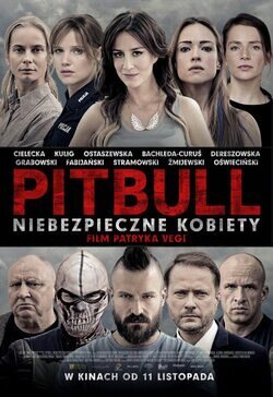 Cartel de Pitbull. Niebezpieczne kobiety