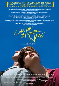 Cartel de Call Me By Your Name