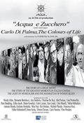 Cartel de Los colores de la vida (Los films de Carlo Di Palma)
