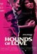 Hounds of Love
