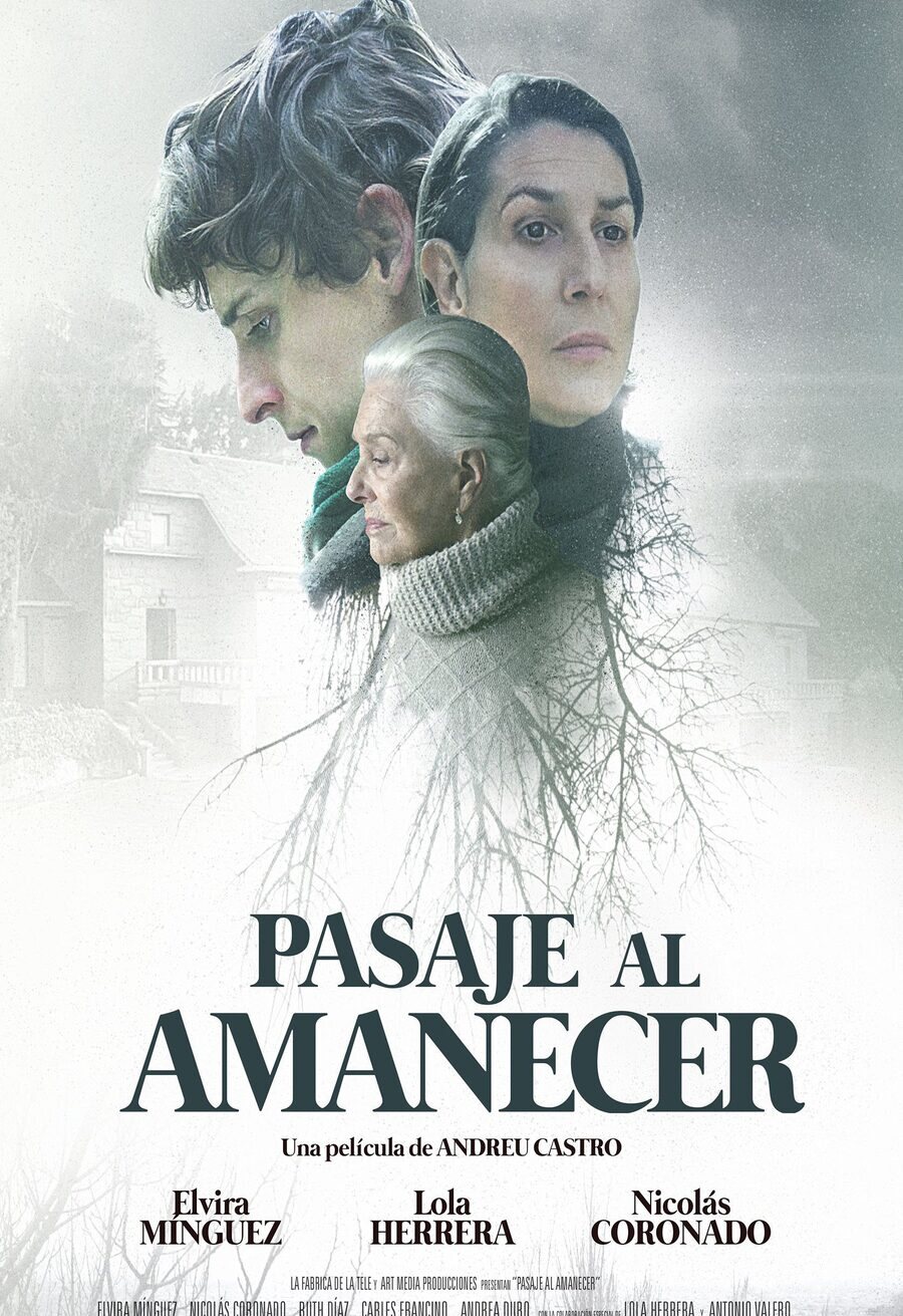 Cartel de Pasaje al amanecer - Pasaje al amanecer