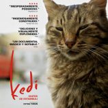 Kedi (Gatos de Estambul)