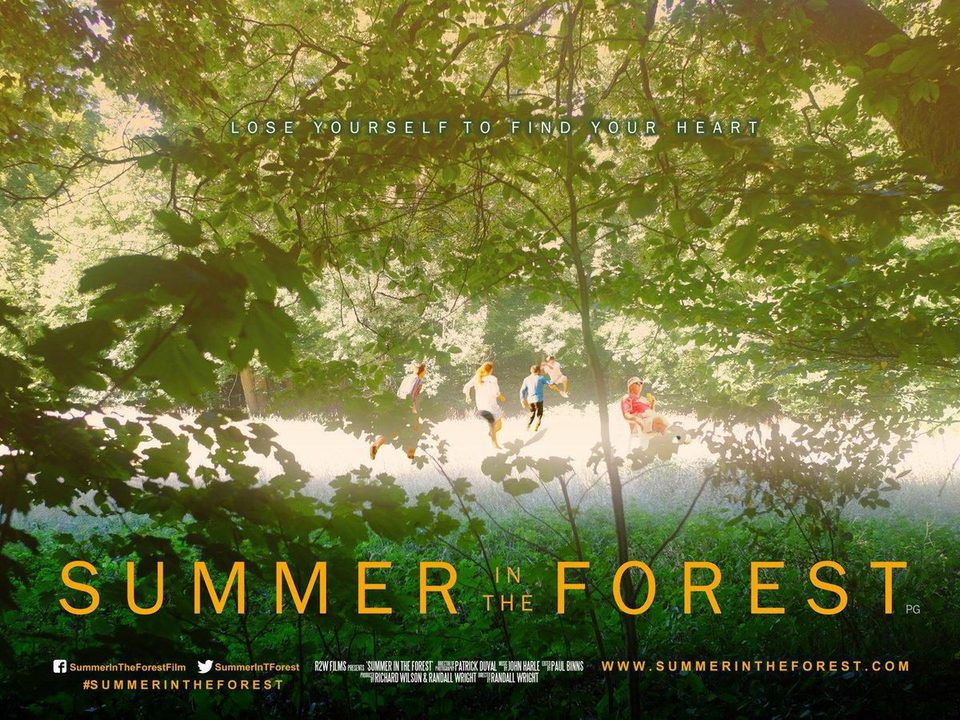 Cartel de Summer in the Forest - España
