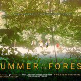 Summer in the Forest
