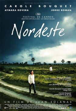 Cartel de Nordeste