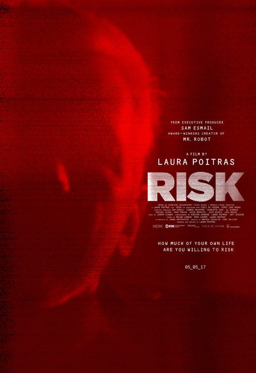 Cartel de Risk - 'Risk' Póster oficial