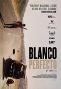 Cartel de Blanco perfecto (Downrange)