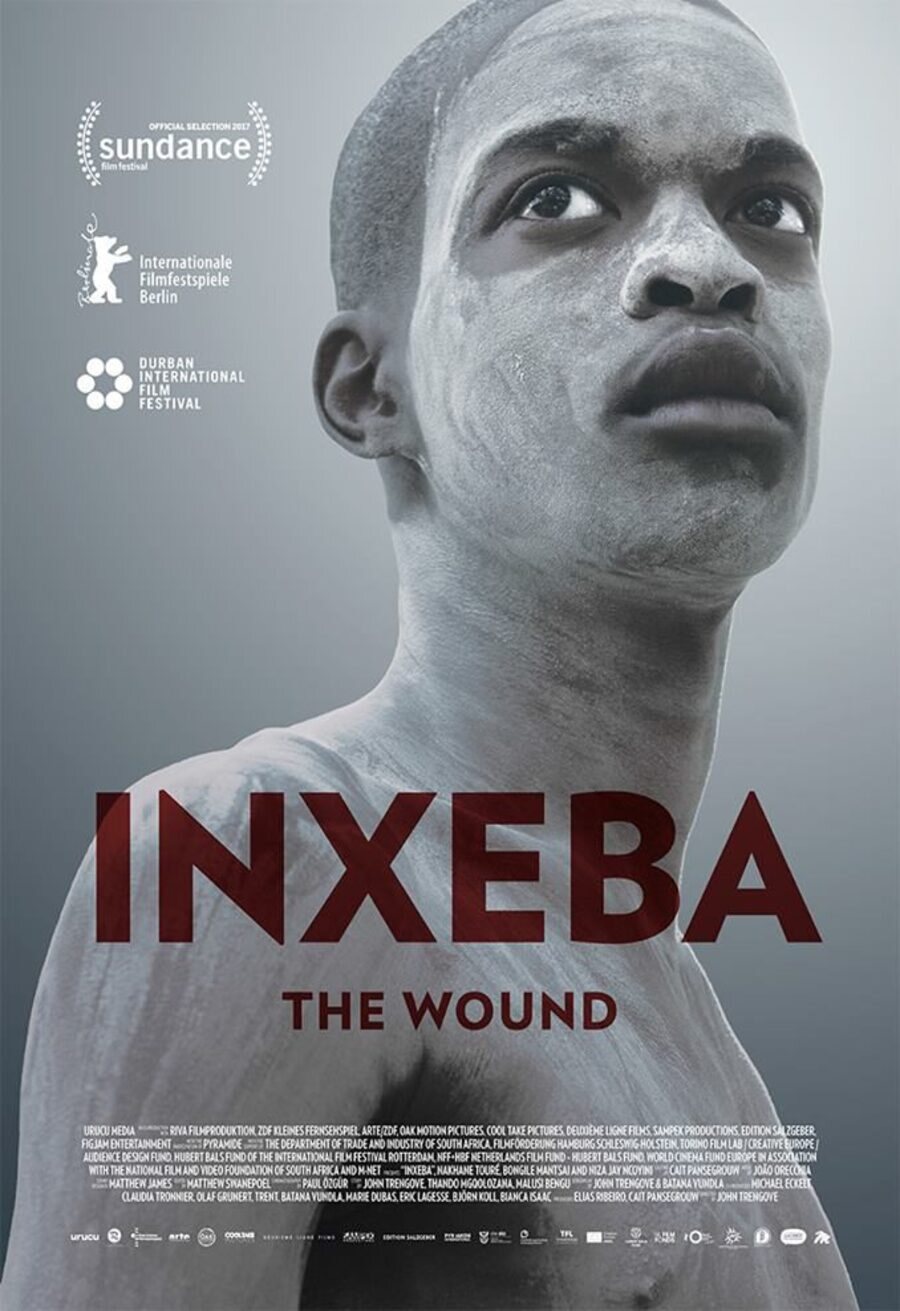 Cartel de La herida (The Wound) - La herida (The Wound)