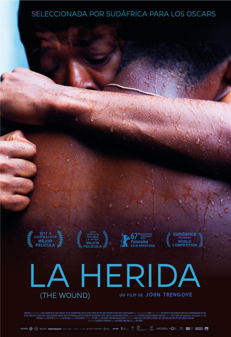 Cartel de La herida (The Wound) - La herida (The Wound)