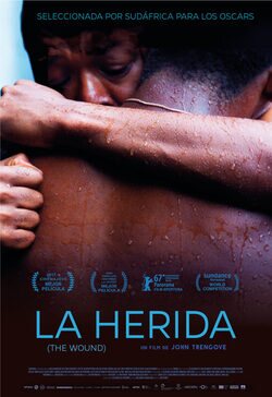 Cartel de La herida (The Wound)