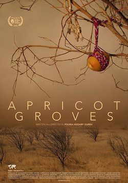 Cartel de Apricot Groves