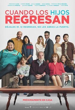 Cartel de Cuando los hijos regresan