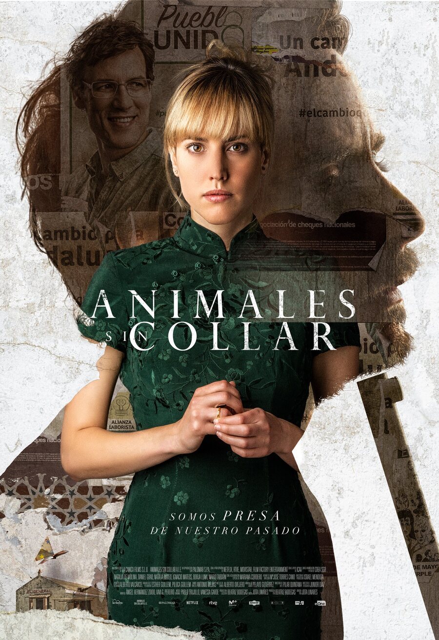 Cartel de Animales sin collar - Cartel 'Animales sin collar'