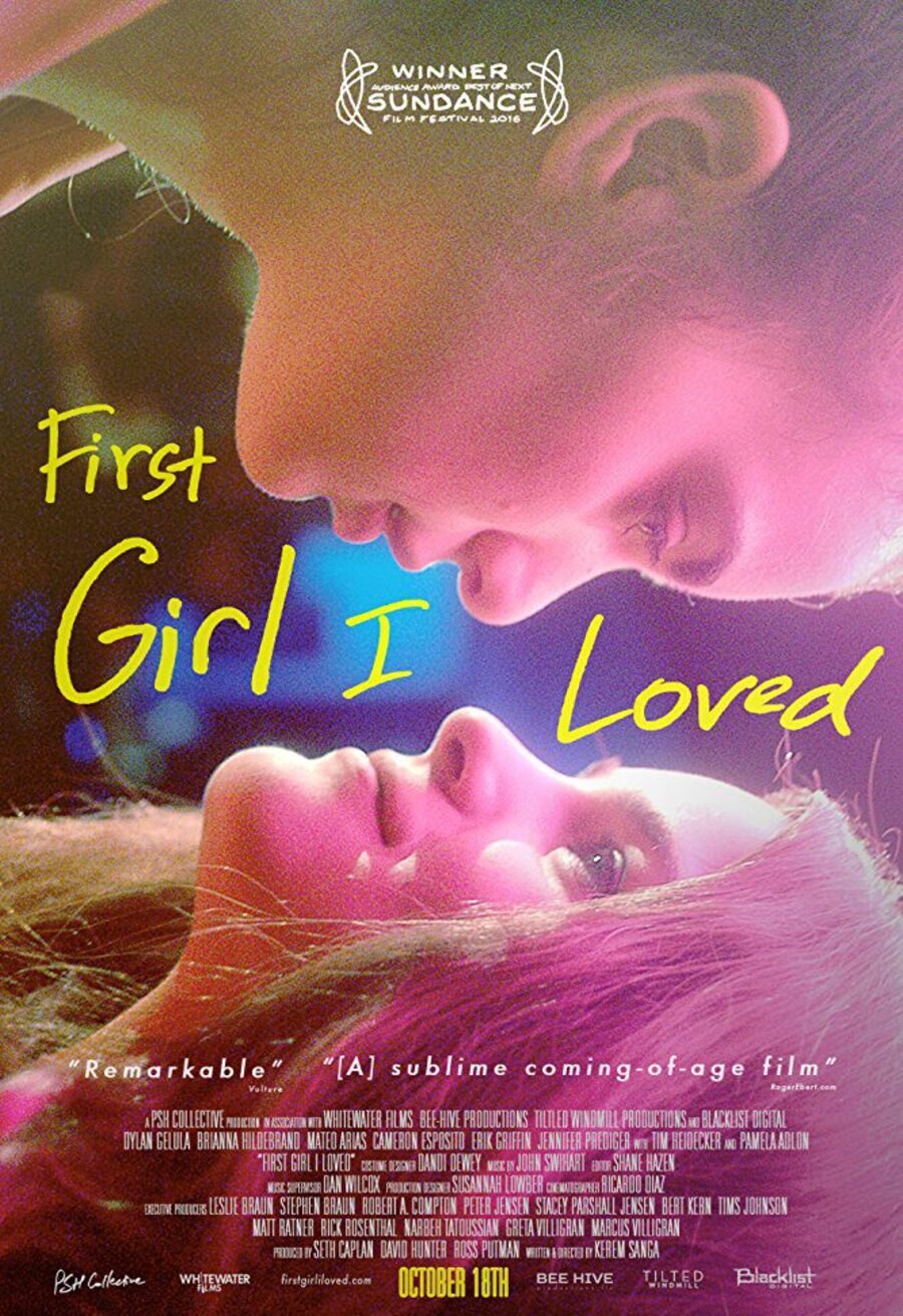 Cartel de First Girl I Loved (La primera chica que amé) - Póster