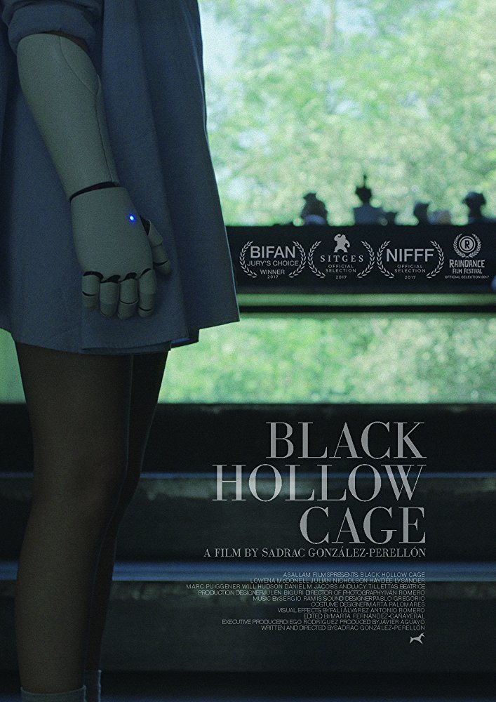Cartel de Black Hollow Cage - Póster 2 EEUU