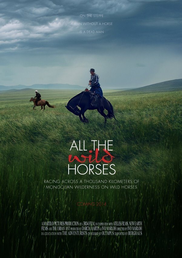 Cartel de All the Wild Horses - 