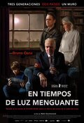 Cartel de En tiempos de luz menguante