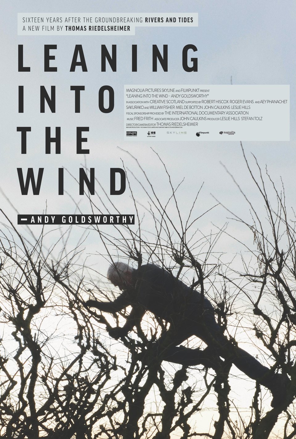 Cartel de Leaning Into the Wind: Andy Goldsworthy - Leaning Into the Wind: Andy Goldsworthy