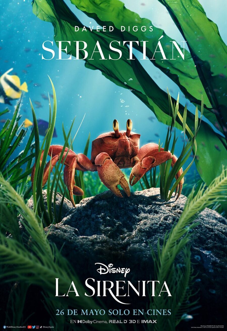 Sebastián Cartel de La sirenita (2023) eCartelera