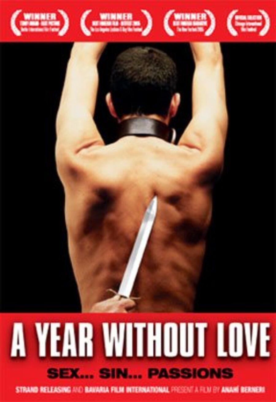 Cartel de Un año sin amor - Cartel internacional