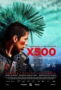 Cartel de X500