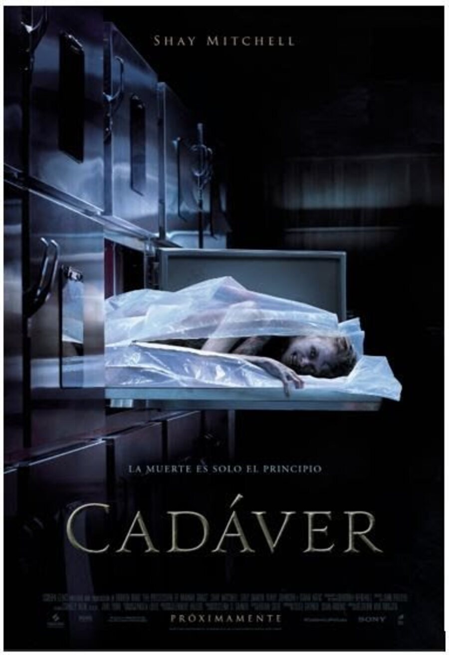 Cartel de Cadáver - Cadáver