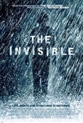 Cartel de Lo que no se ve (The Invisible)