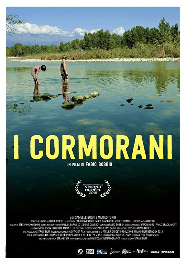 Cartel de I cormorani - #1