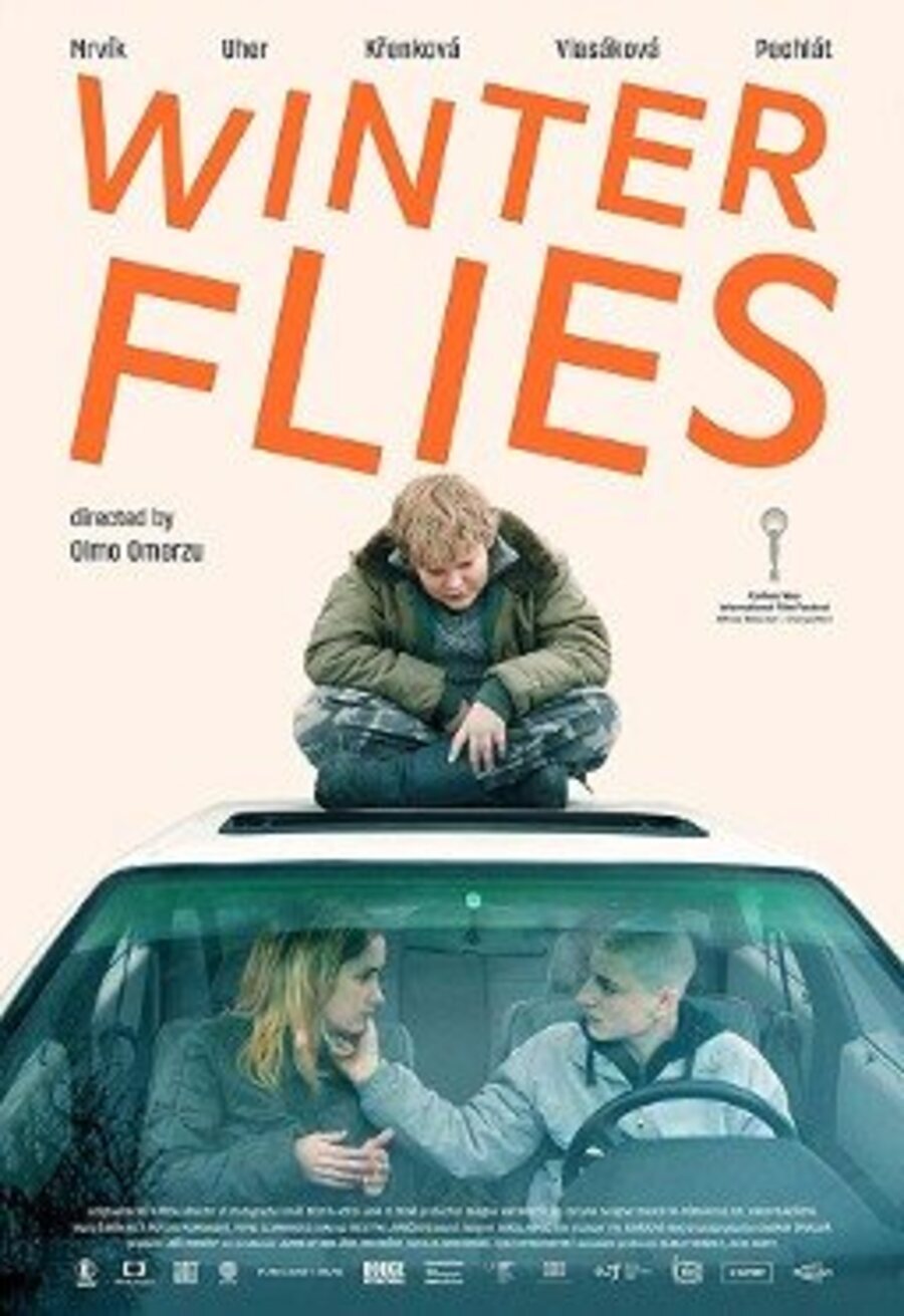 Cartel de Winter Flies - Winter flies