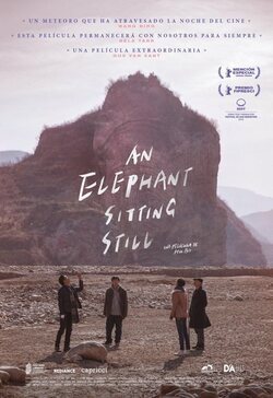 Cartel de An Elephant Sitting Still