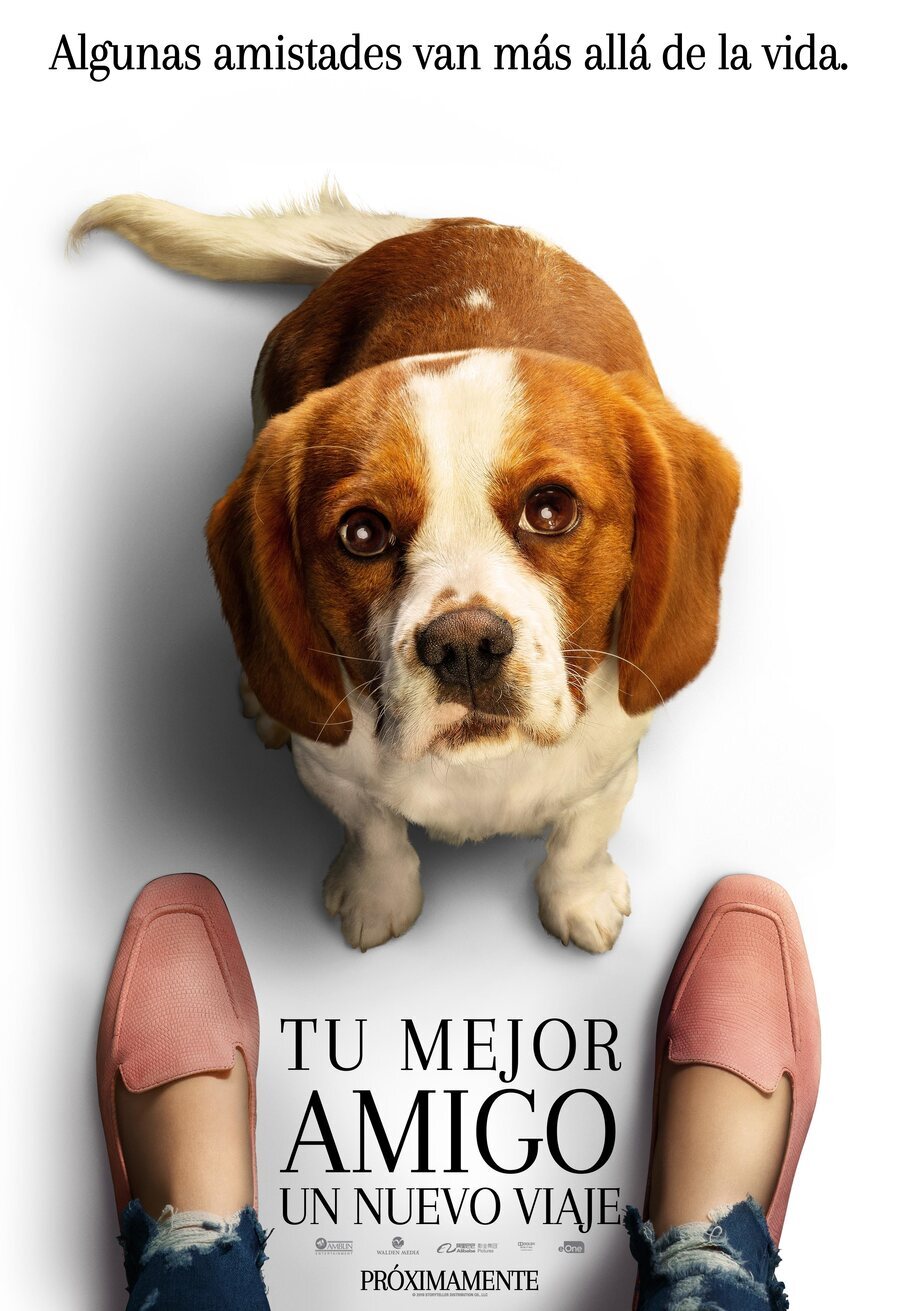 Cartel de Tu mejor amigo: un nuevo viaje - Póster Molly