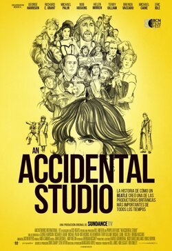 Cartel de An Accidental Studio