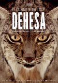 Cartel de Dehesa, el bosque del lince ibérico