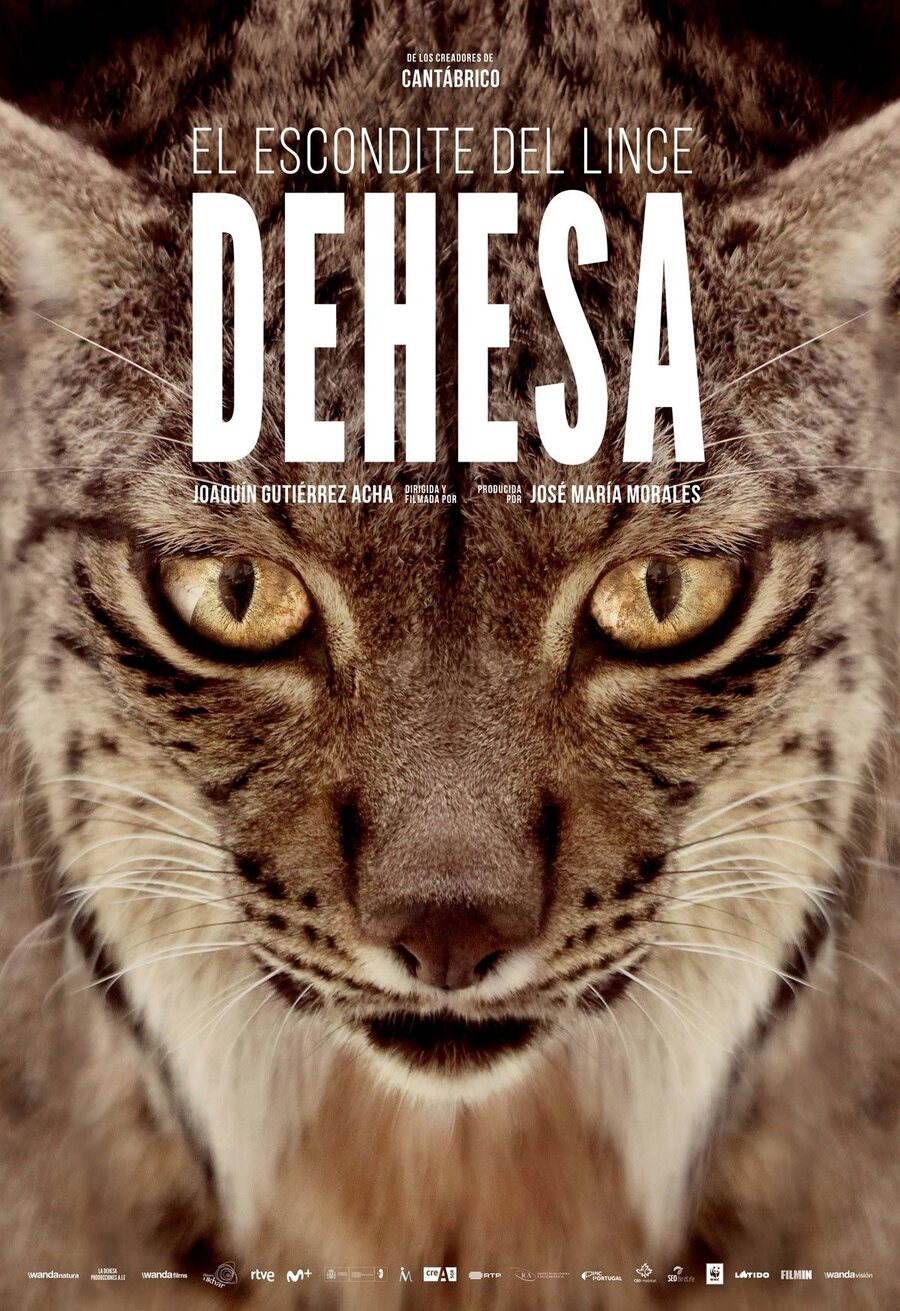 Cartel de Dehesa, el bosque del lince ibérico - España