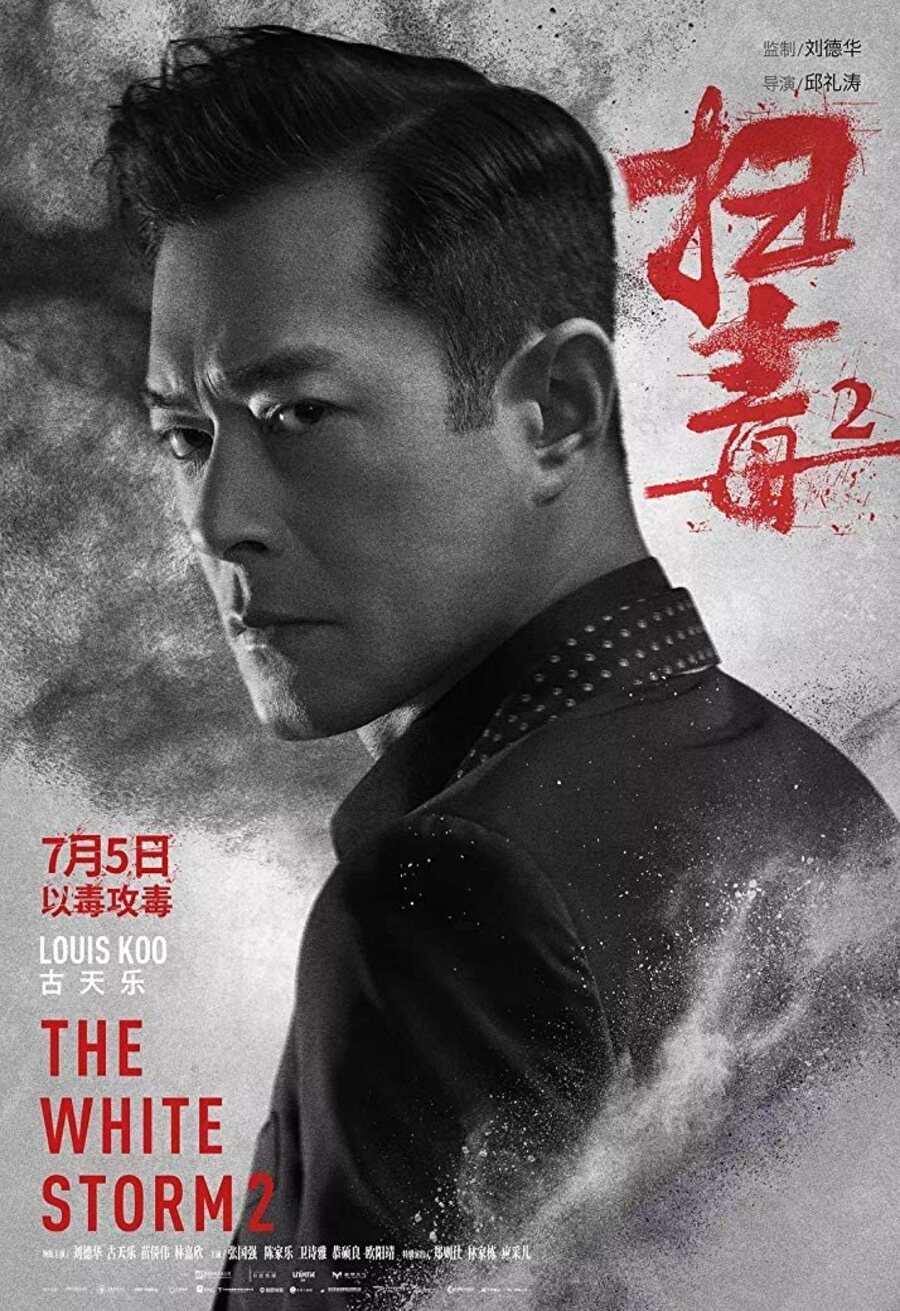 Cartel de The White Storm 2: Drug Lords - Louis Koo