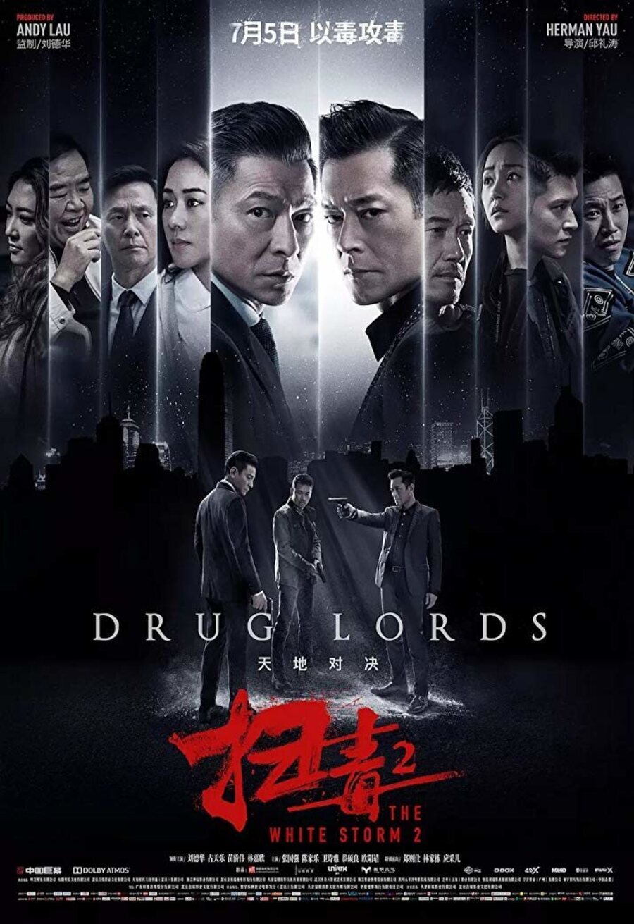 Cartel de The White Storm 2: Drug Lords - Poster #9