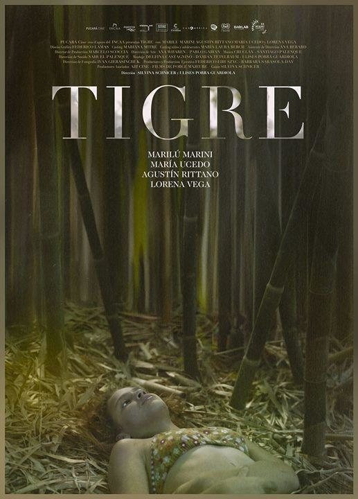 Cartel de Tigre - Tigre