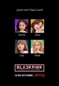 Cartel de BLACKPINK: Light Up the Sky