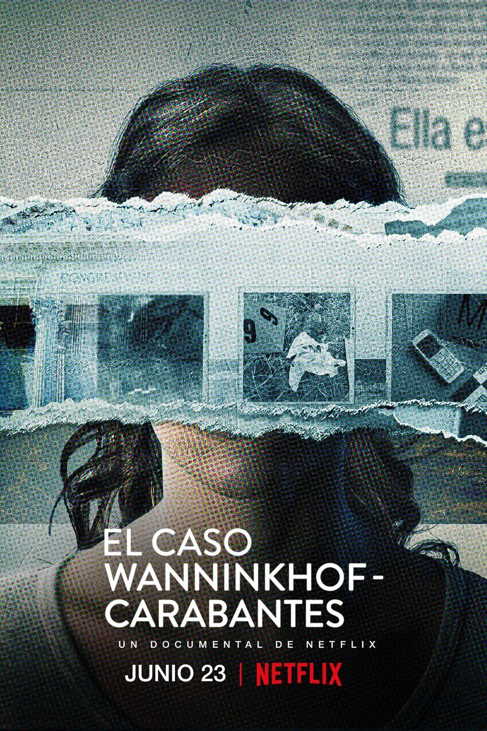 Cartel de El caso Wanninkhof-Carabantes - España