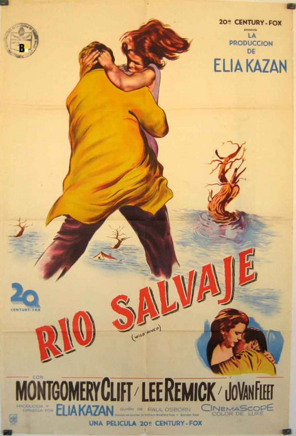 Cartel de Río salvaje - España